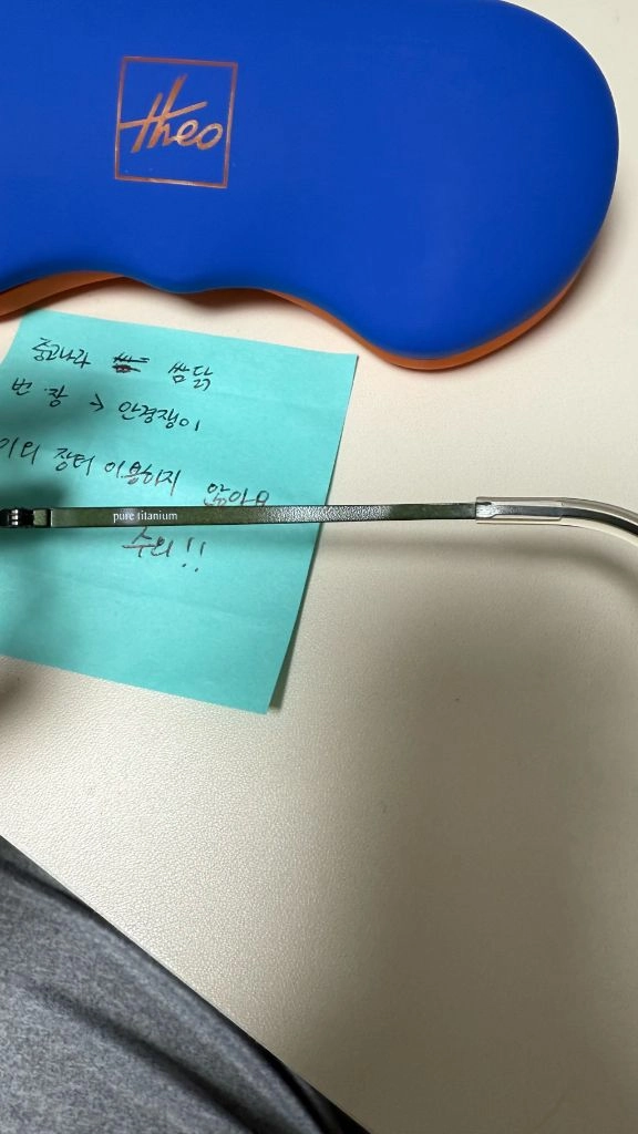 theo Echo 508 안경입니다. 이미지