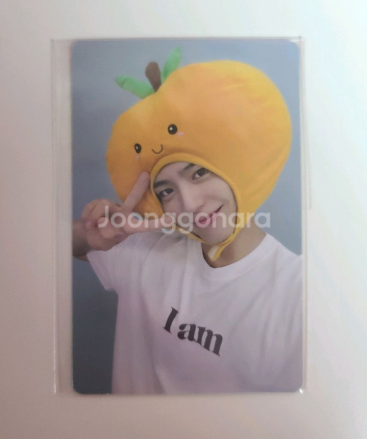 파격 세일중)) 박보검 귤 포카 미개봉 양도!--0