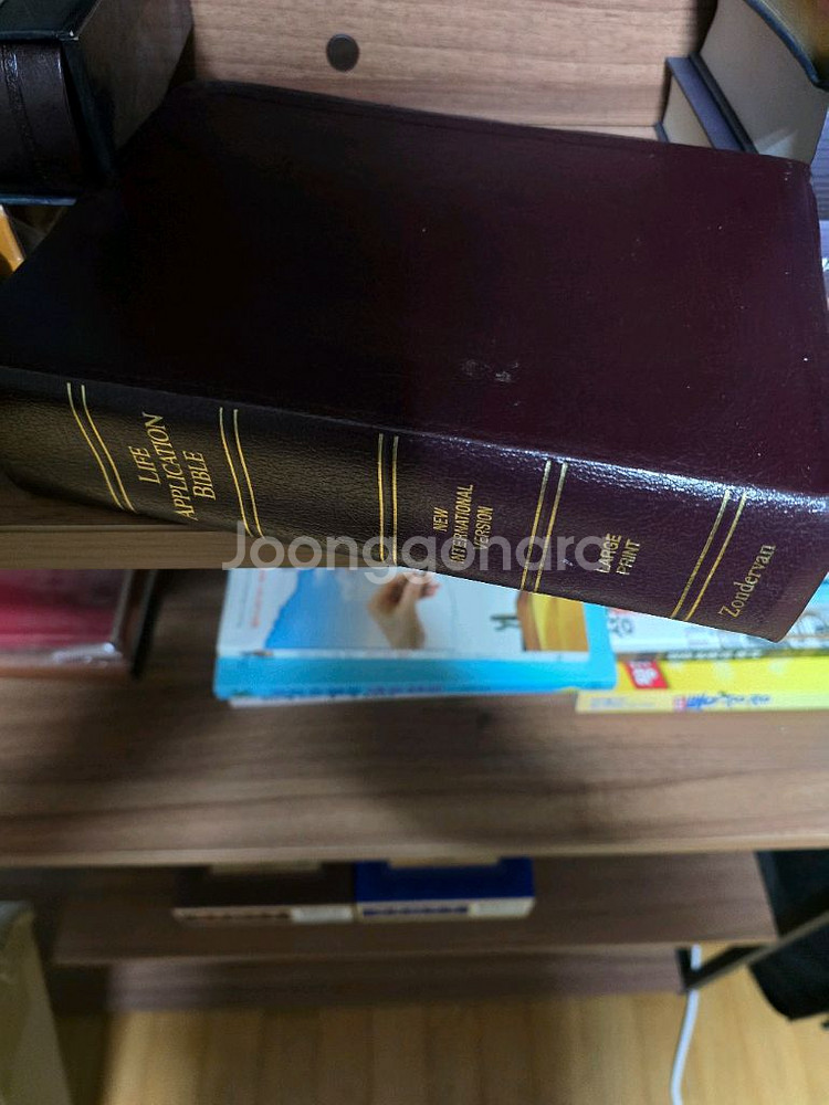 niv 에브리데이 스터이바이블 원서--0