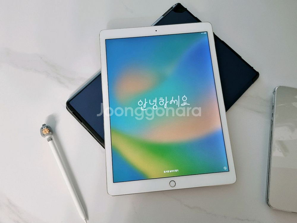 [개인판매] 아이패드 프로 1세대(A1584)- 128--10