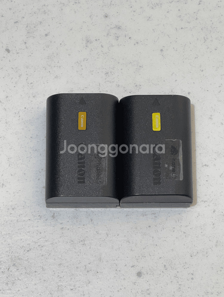 캐논 R6 + R마운트 어댑터 + BG-R10세로그립--7