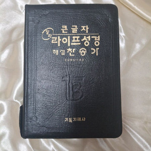 [큰성경]기독지혜사 큰글자 컬러 라이프성경+해설찬송합본