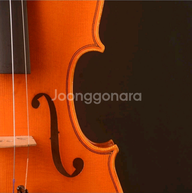 YITA T20+ 바이올린 (4/4)Strad 1715--1