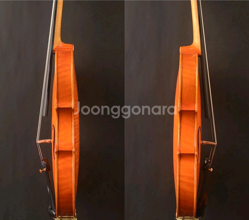 YITA T20+ 바이올린 (4/4)Strad 1715--3