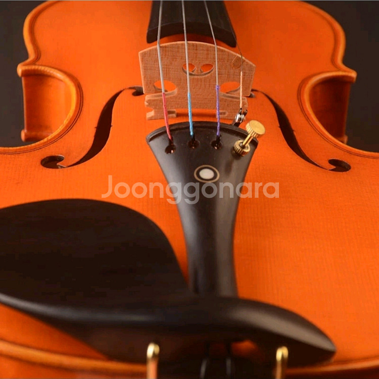 YITA T20+ 바이올린 (4/4)Strad 1715--5
