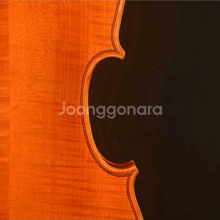 YITA T20+ 바이올린 (4/4)Strad 1715--2