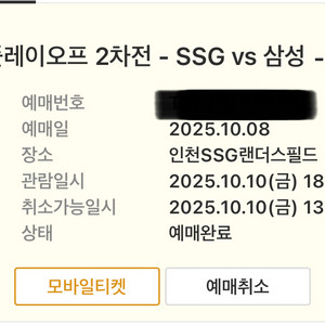 [준PO 2차전]SSG 삼성 3루외야 통로단석 정가