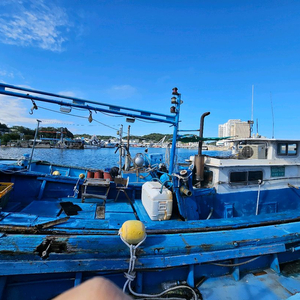 [강원]어선 3.13톤(복합,유자망어업권) 1억3천 이미지