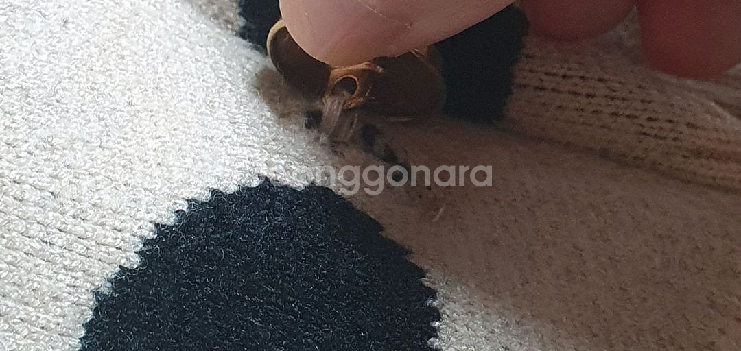 보세 여자 도트 카디건--4