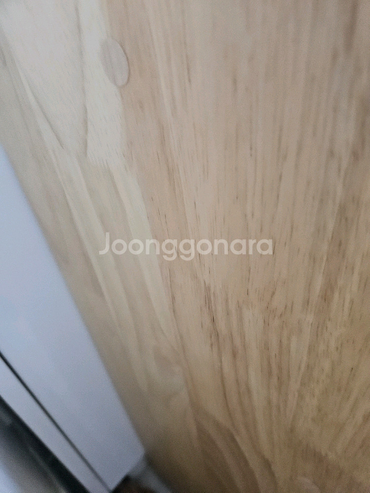 고무나무 자작나무 교구장--6