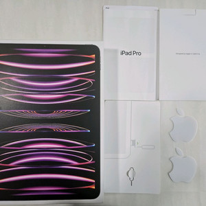 아이패드 11인치 4세대 M2 셀룰러 256G