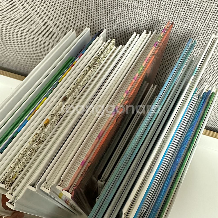 더큰 에릭칼 그림책 30권 / 에릭칼 전집 에릭칼 쌍둥--1