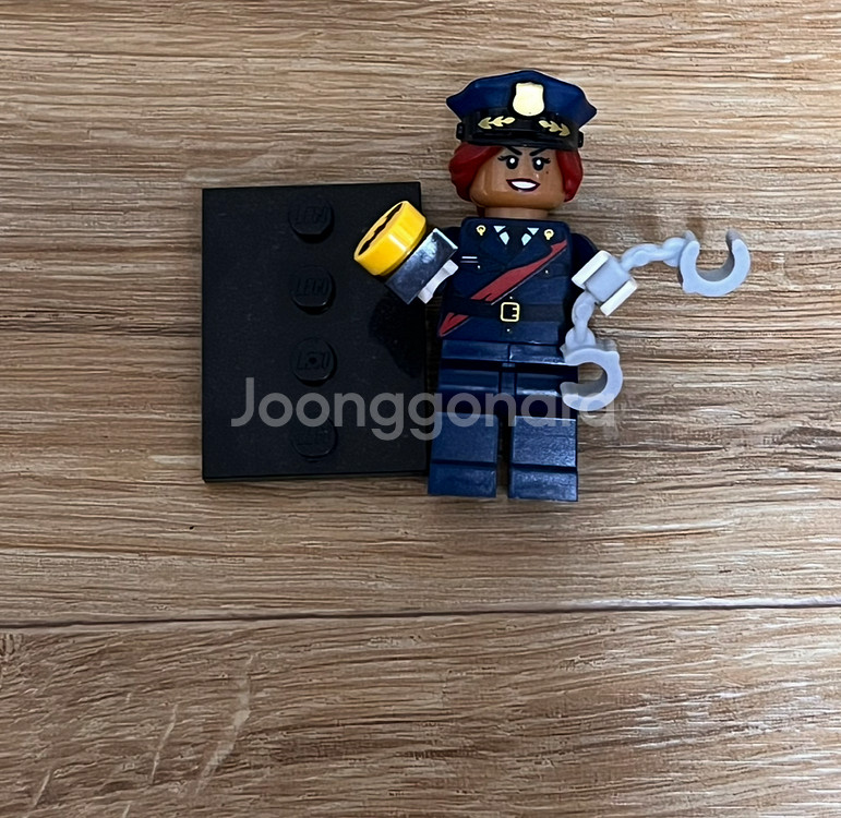 레고 미니피규어 바바라 고든--0