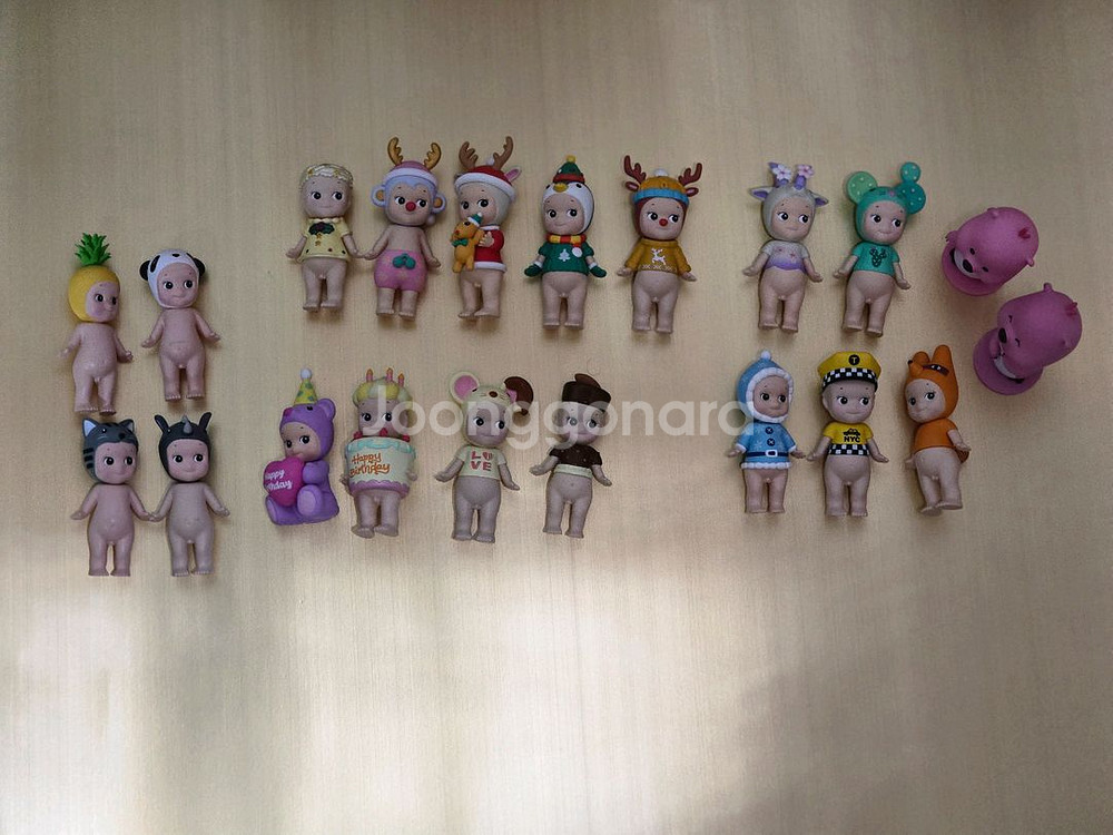 소니엔젤 가격 알려주실분 커피쿠폰 드려요--0