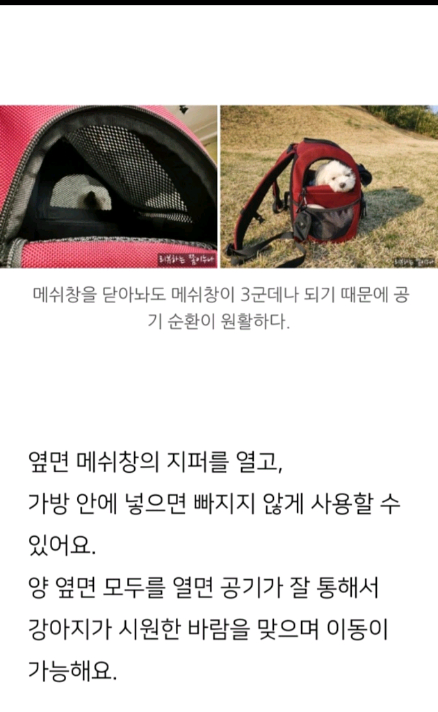 심플리펫 강아지 백팩--7