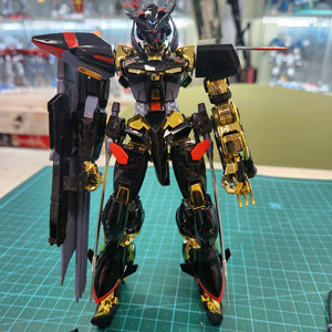 1/100 무등급 골드프레임 건담