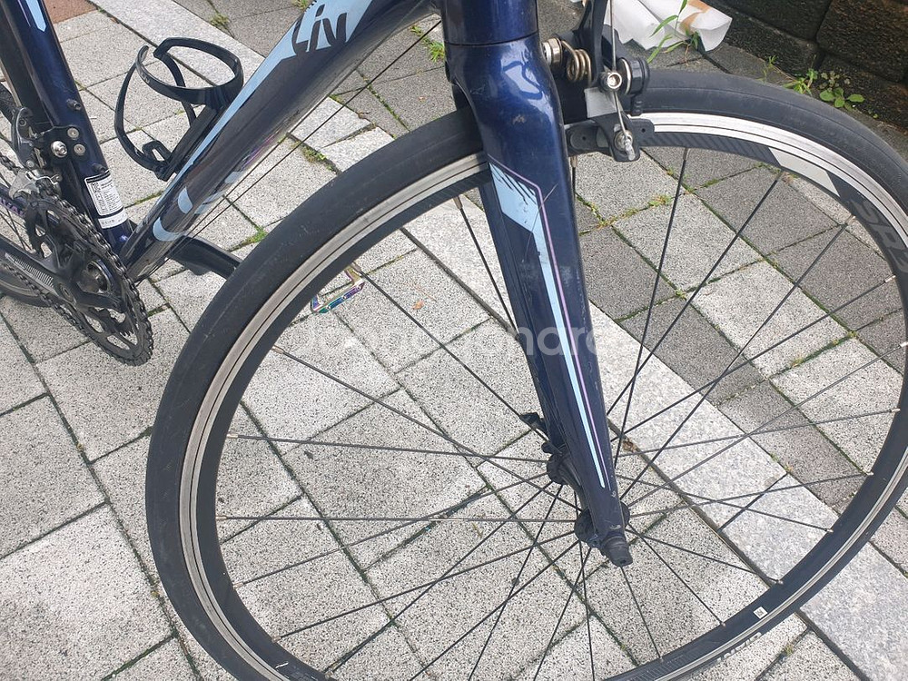 2017 자이언트 리브 어베일 2--6