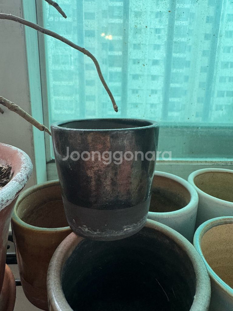 두개르송토분--4