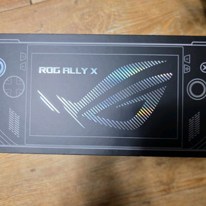 흑갈리.rog ally x