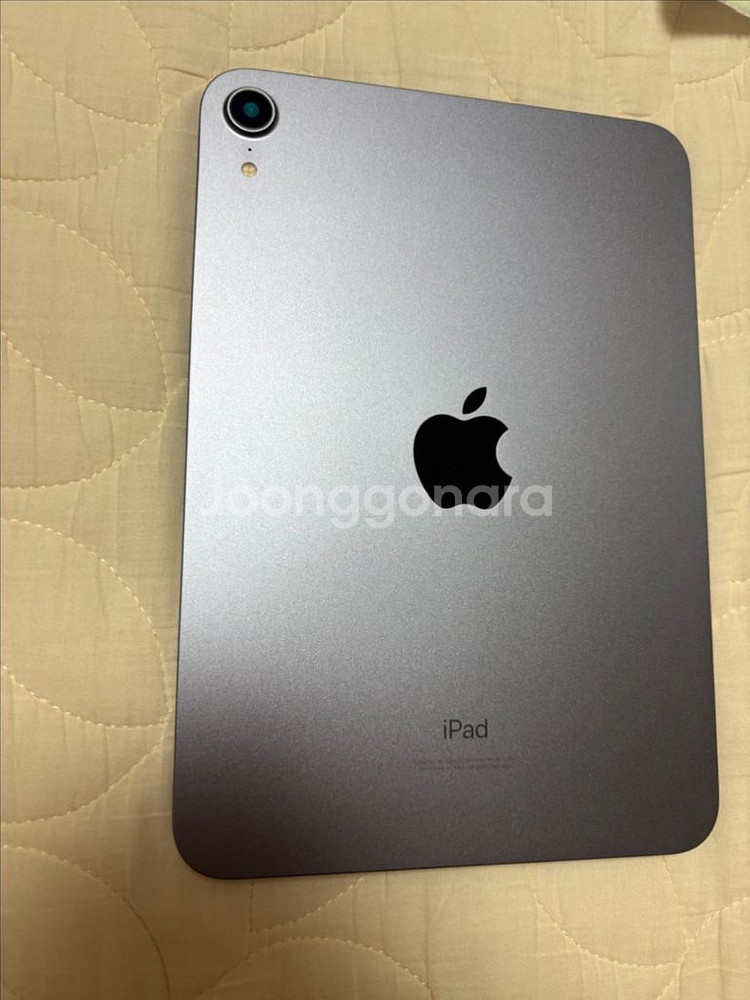 사이클 55회 100% 애캐플 1년. 아이패드 미니6--2