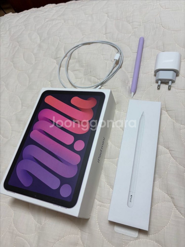 사이클 55회 100% 애캐플 1년. 아이패드 미니6--0