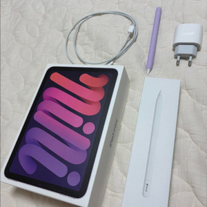 사이클 55회 100% 애캐플 1년. 아이패드 미니6