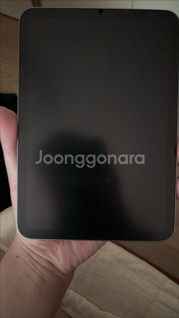 사이클 55회 100% 애캐플 1년. 아이패드 미니6--5