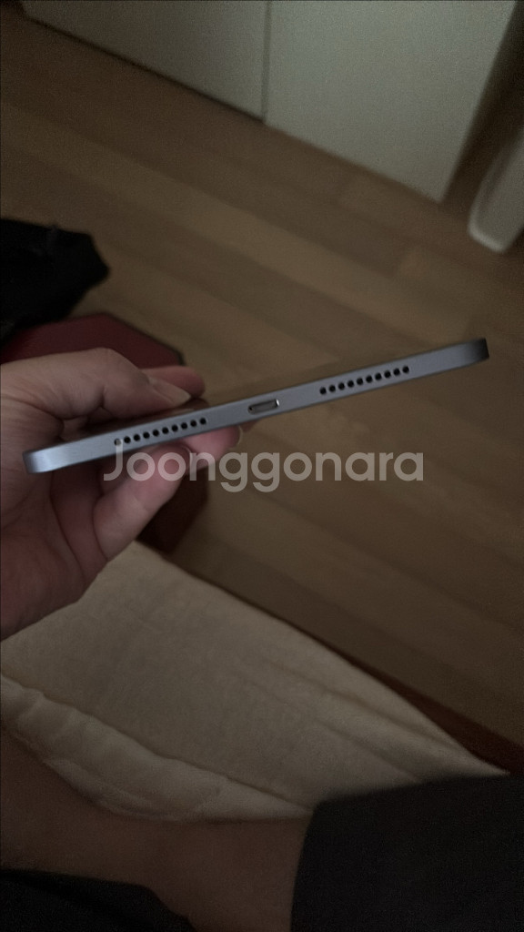 사이클 55회 100% 애캐플 1년. 아이패드 미니6--8