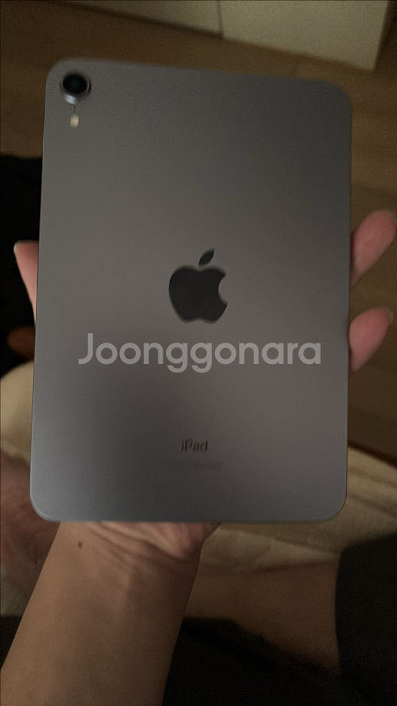 사이클 55회 100% 애캐플 1년. 아이패드 미니6--9