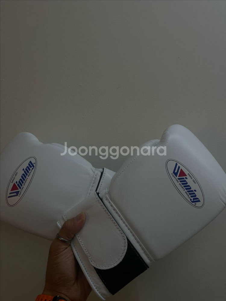 <새상품> 위닝 글러브 10온즈--0