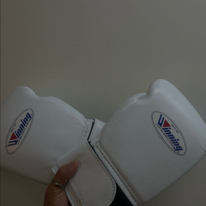 <새상품> 위닝 글러브 10온즈