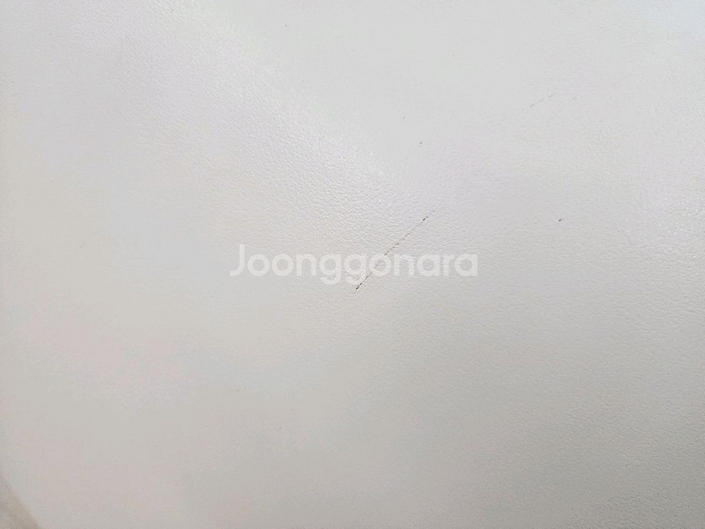 건강한형제들 모듈 스파인 코렉터--3