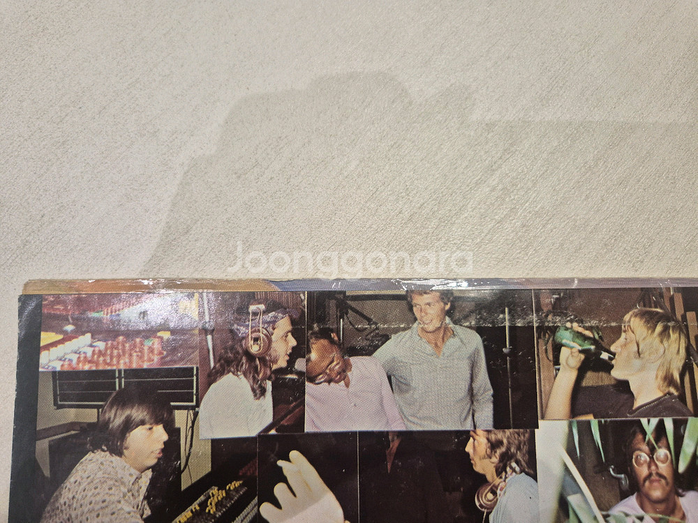 Layla & budgie lp (엘피)--4