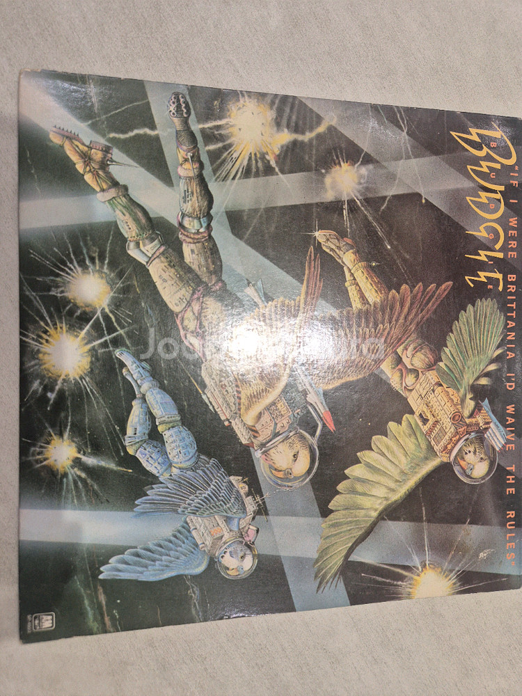Layla & budgie lp (엘피)--5