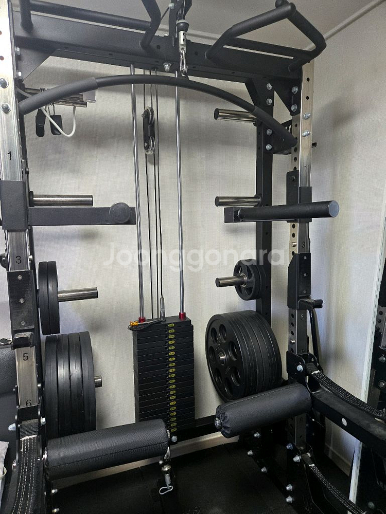 홈짐 풀세트 와일든1004m 외--0