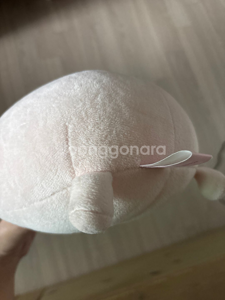 안녕! 난 지방이 (인형) -택포 가격--2