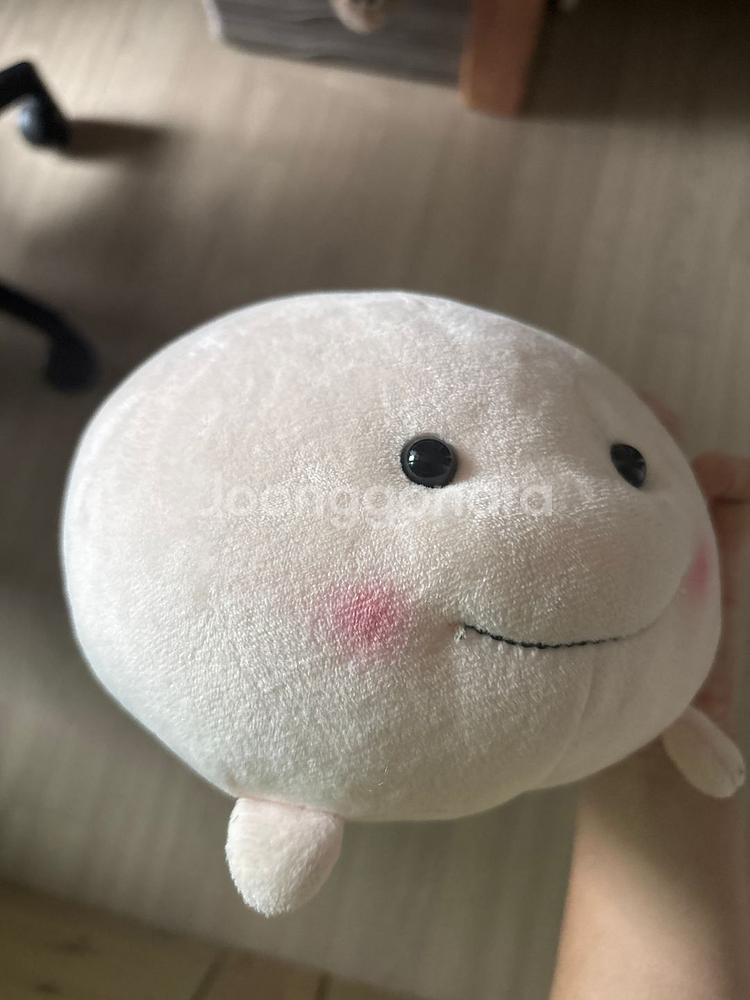 안녕! 난 지방이 (인형) -택포 가격--3