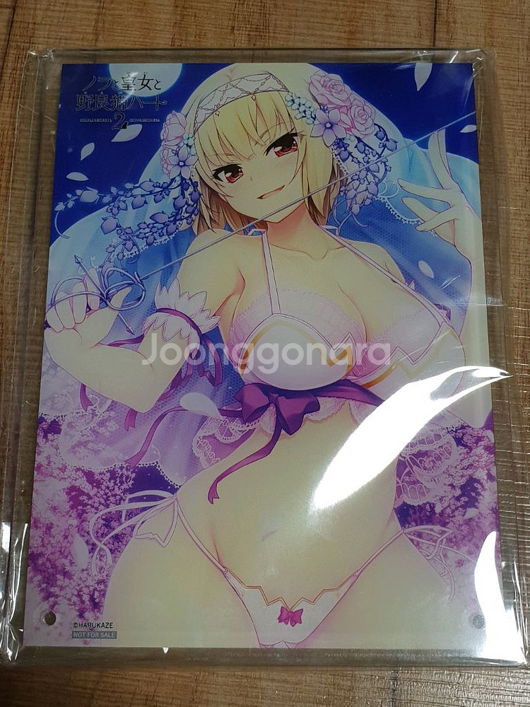 버텍스 노라와 황녀 루시아 피규어 한정판 성인 미소녀--2