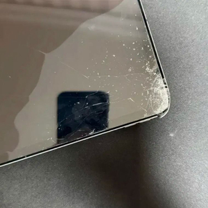 아이패드 프로 5세대 12.9 셀룰러 팝니다