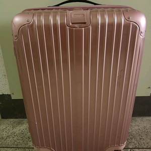 EDDAS 로즈골드 캐리어 확장형 24인치