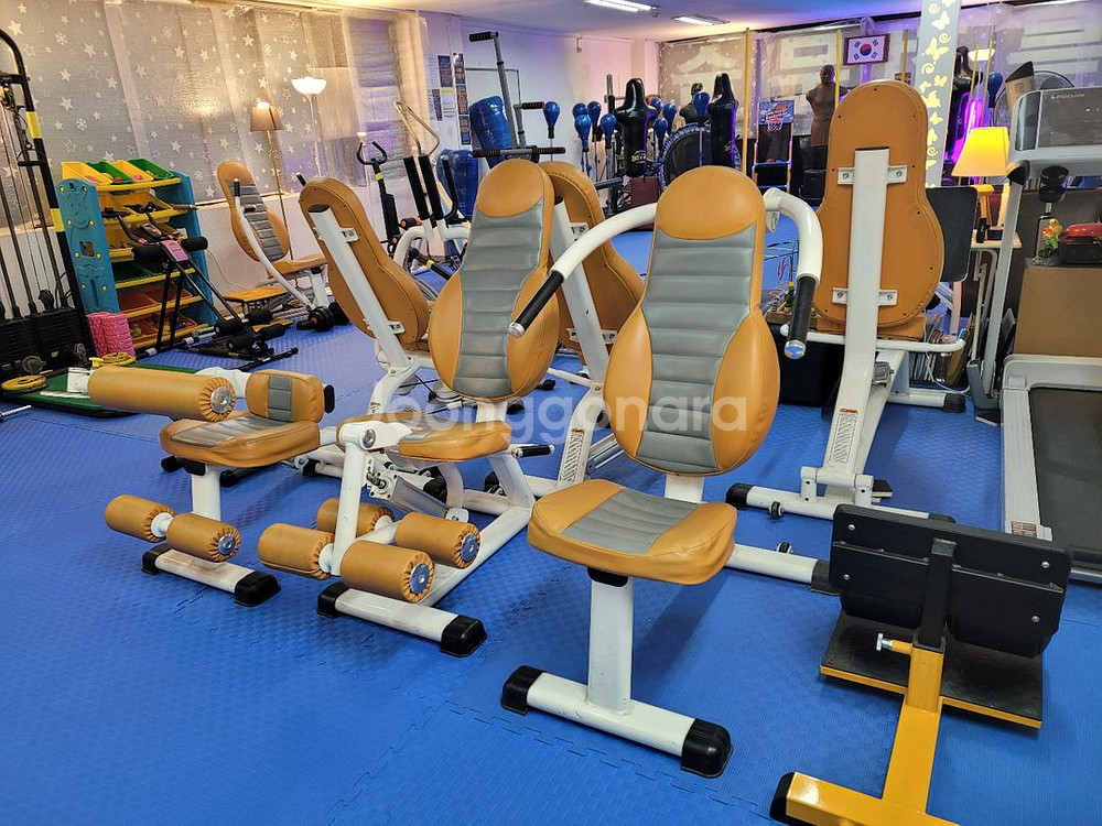 유압식 순환운동기구 6종 전체--1