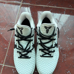 oem 280) 코비6 프로트로 세일