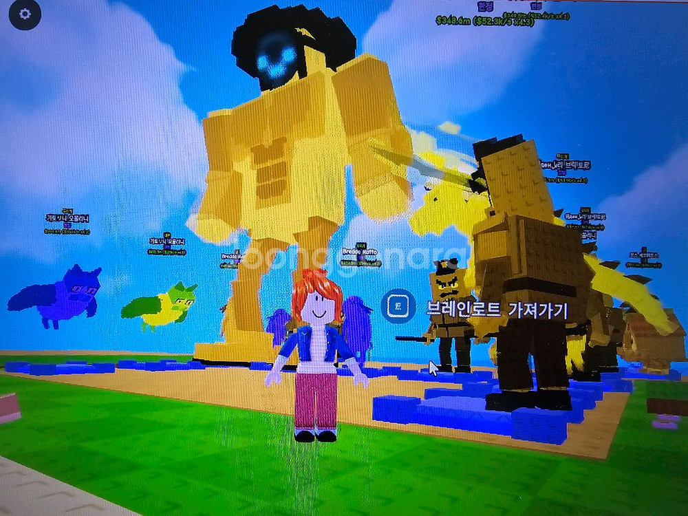 식물 대 브레인론 21k 이상 브레인롯 개당 0.1--0