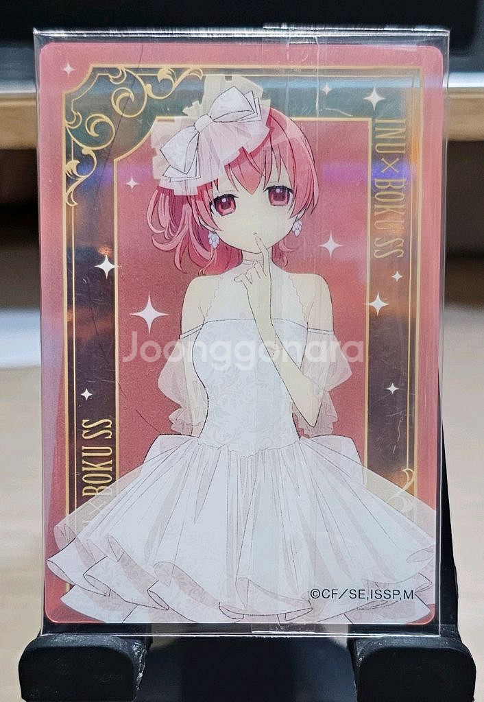 <일괄> 5종 이누보쿠SS 이누보쿠 이크릴카드--1