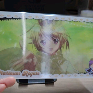 캐릭캐릭체인지 랜티큘러카드 루이