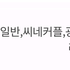 롯데시네마 특별관 1인 11000원