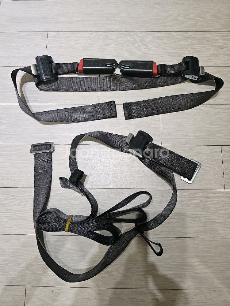 순성 데일리 ISOFIX 래치, 테더--0