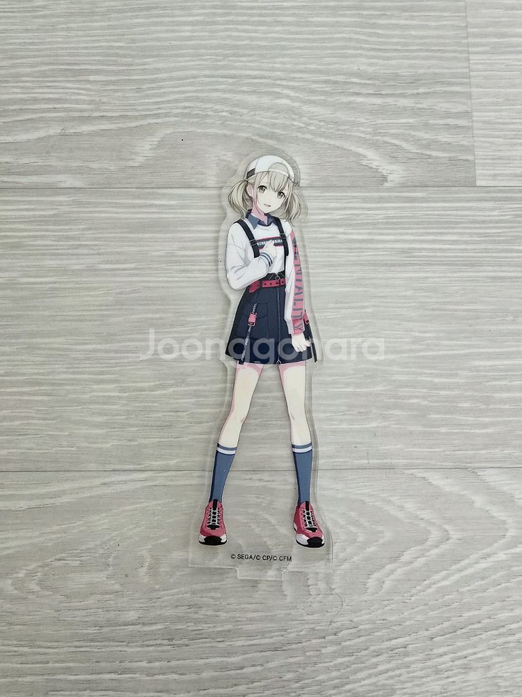 프로세카 코하네 아크릴--0