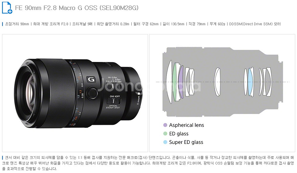 SONY FE 90mm F2.8 MACRO G OSS--4