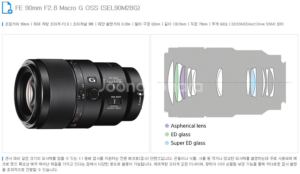 SONY FE 90mm F2.8 MACRO G OSS--5